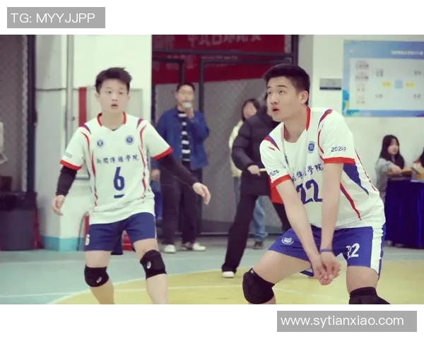 杭州排球队的拼搏之路：奥运会背后的奋斗与荣耀