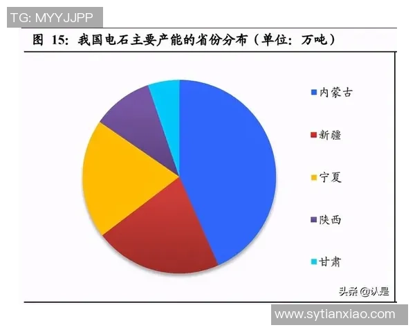 成都羽毛球队转型之路的挑战与机遇全景解析