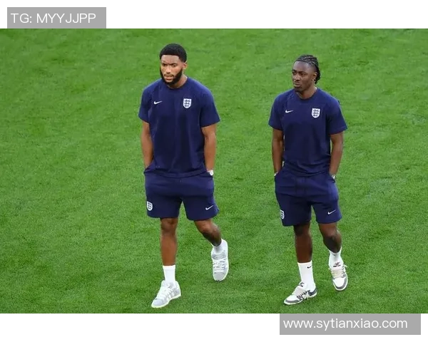 足球明星的辉煌历程与成就分析以及对全球足球的影响探讨