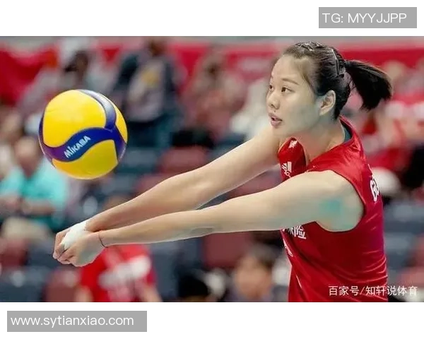 重庆排球队实力强劲荣登全国排球个人能力排行榜第二名