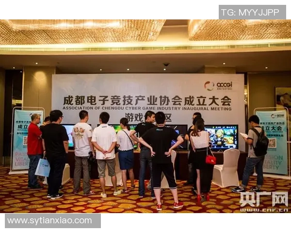 成都乒乓球队团队协作变革引发热议助力竞技水平提升与发展